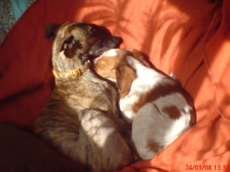 Publication : des Plaines de Paudelle