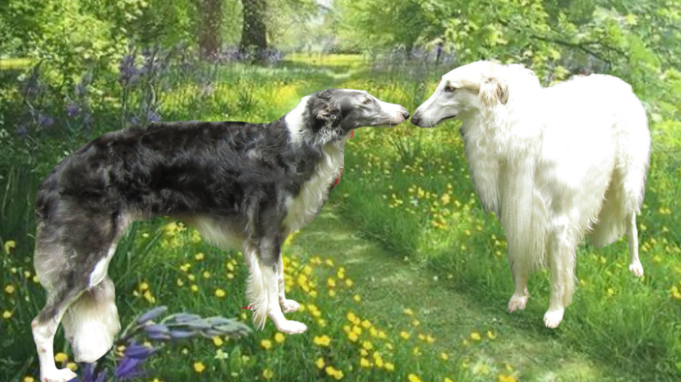 Atys a love tale du Domaine d'Iasnaïa-Poliana