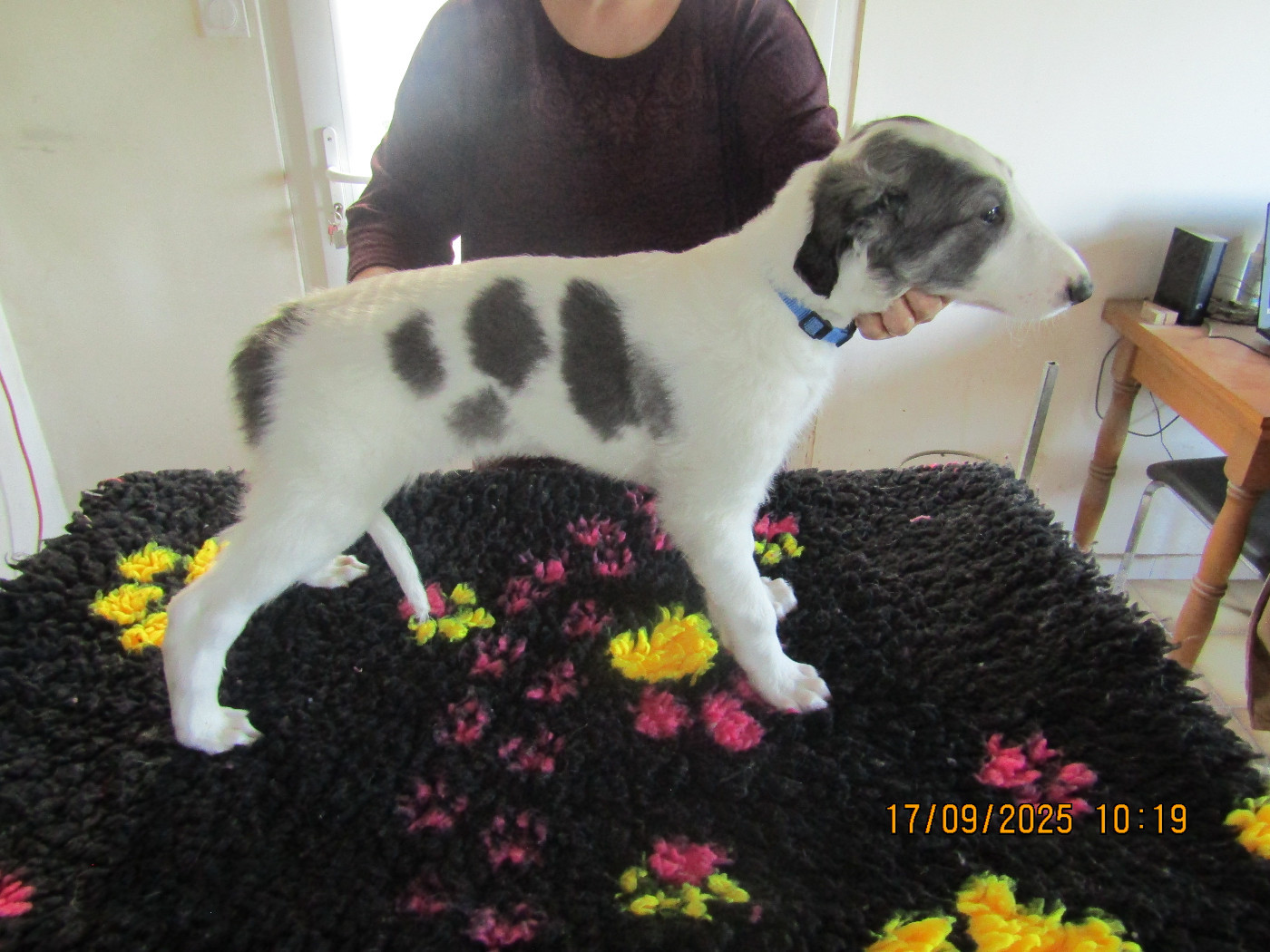 Atys a love tale du Domaine d'Iasnaïa-Poliana