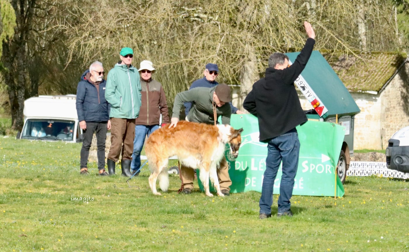 Publication : du Domaine d'Iasnaïa-Poliana Auteur : NT