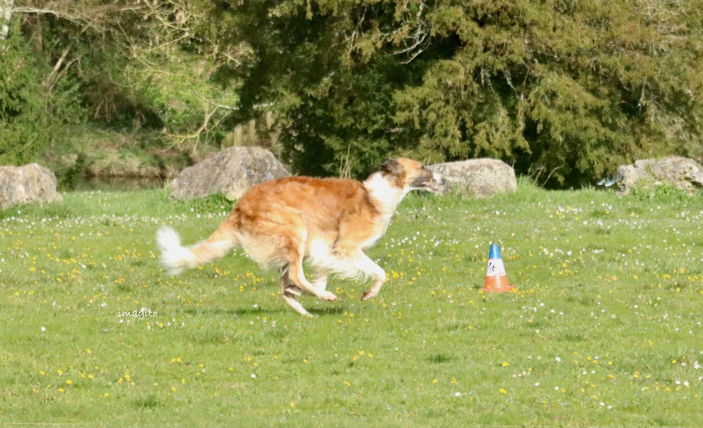 Publication : du Domaine d'Iasnaïa-Poliana Auteur : NT