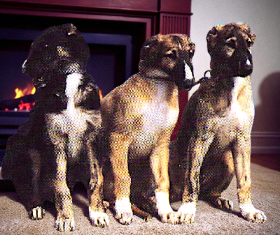 du Domaine d'Iasnaïa-Poliana