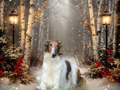 du Domaine d'Iasnaïa-Poliana