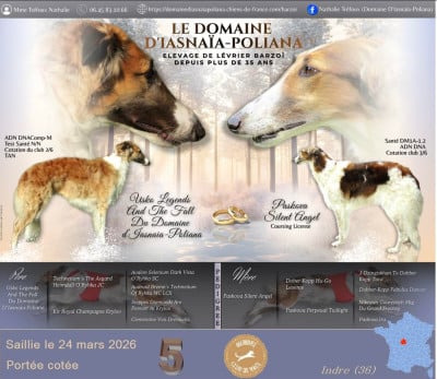 du Domaine d'Iasnaïa-Poliana