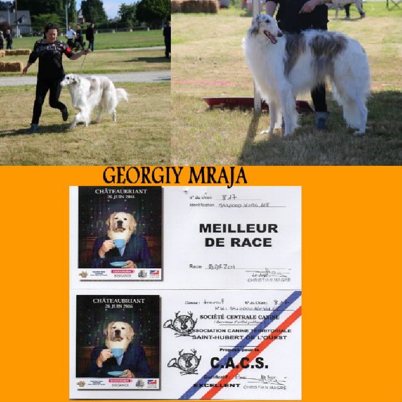 CH. L.s.p georgiy mraja - CACS BOB