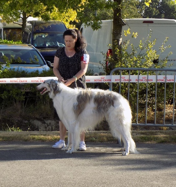 CH. L.s.p georgiy mraja - 1er EXC