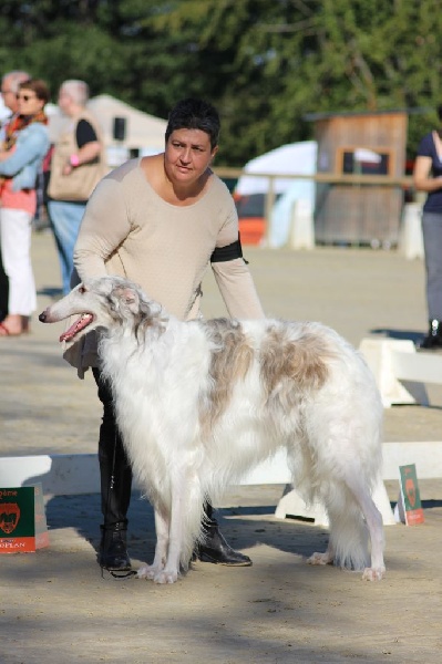 CH. L.s.p georgiy mraja - 1er EXC classe travail Mâle