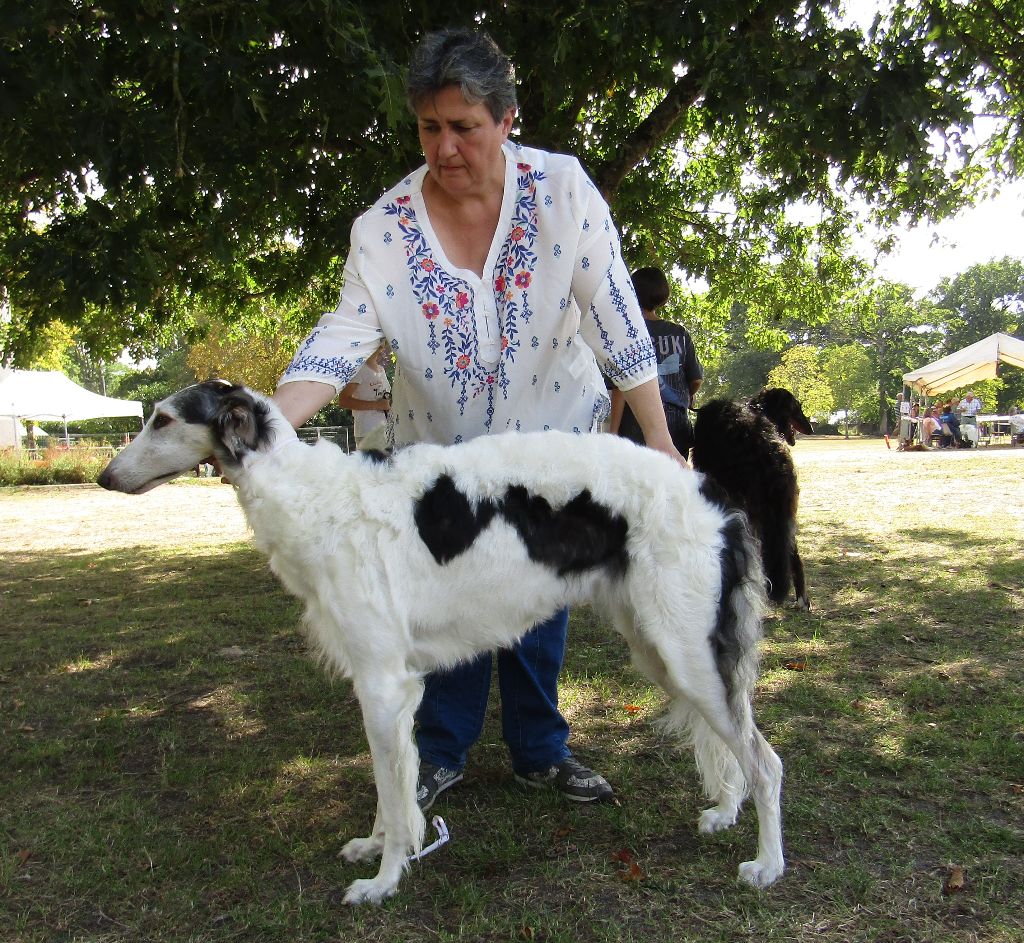 Paladynska du Domaine d'Iasnaïa-Poliana - very good