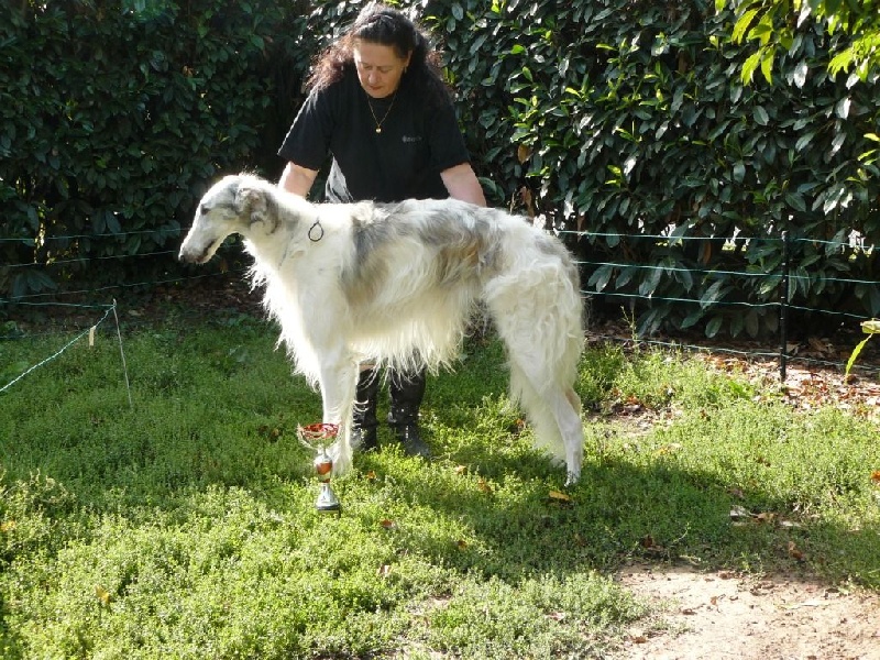 CH. L.s.p georgiy mraja - RCACS 1e EXC