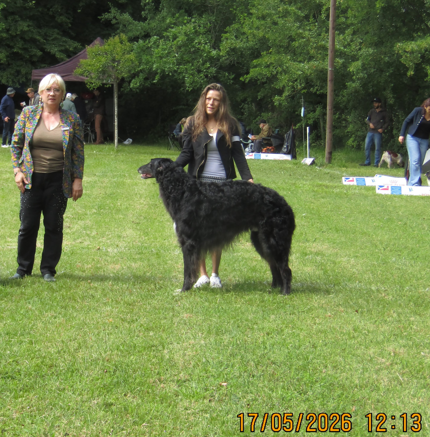 Riley du Domaine d'Iasnaïa-Poliana - 1e EXC classe ouverte male