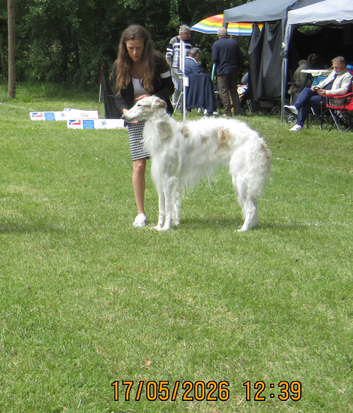 Vixen rosenovna du Domaine d'Iasnaïa-Poliana - classe ouverte Femelle 3e EXC