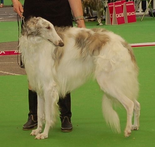 CH. L.s.p georgiy mraja - 3e TB