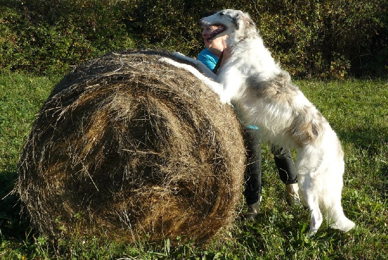 CH. L.s.p georgiy mraja - 3 eme EXC