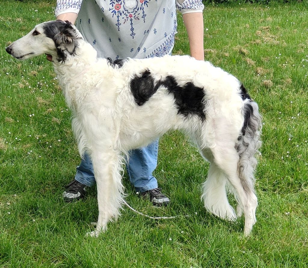 Paladynska du Domaine d'Iasnaïa-Poliana - 1er EXC RCACS