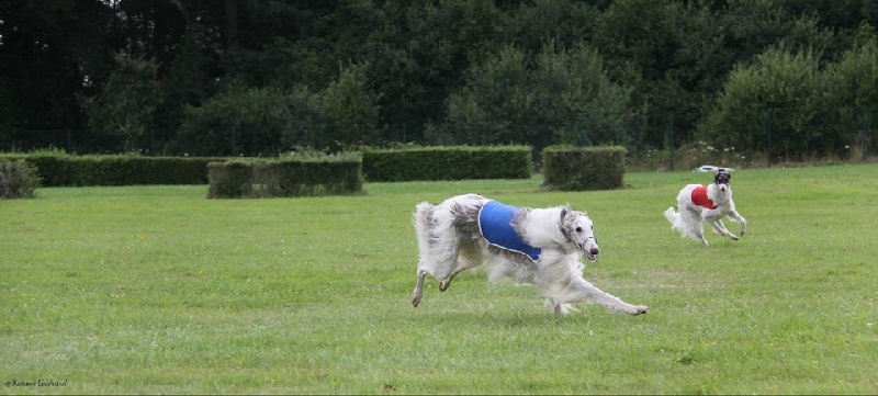 CH. L.s.p georgiy mraja - cacp