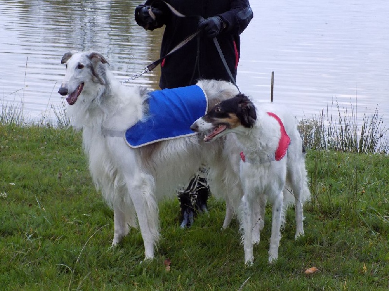 CH. L.s.p georgiy mraja - 3e EXC