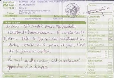 Paladynska du Domaine d'Iasnaïa-Poliana - Très Prometteur