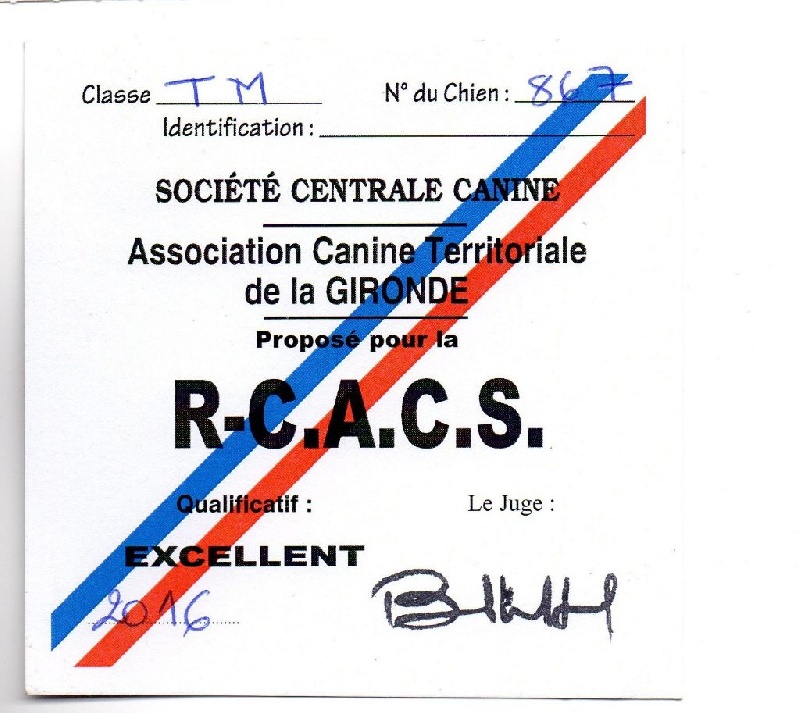 CH. L.s.p georgiy mraja - 1er EXC RCACS classe travail Mâle