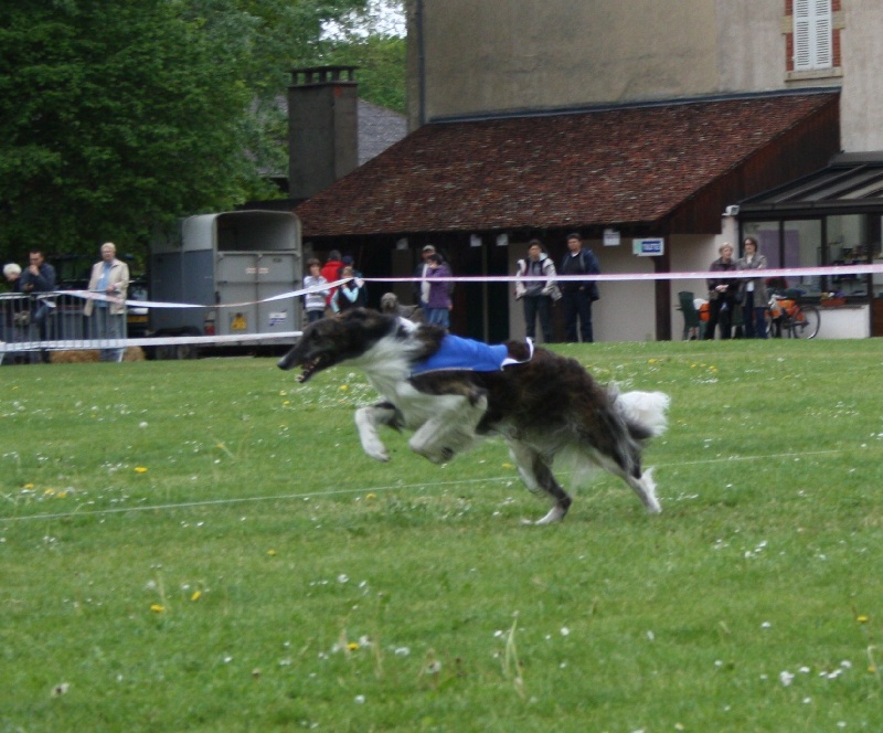 Czaroff vakonowitch du Domaine d'Iasnaïa-Poliana - excellent