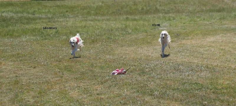 CH. L.s.p georgiy mraja - RCACP