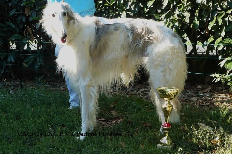 CH. L.s.p georgiy mraja - CACP 1e EXC