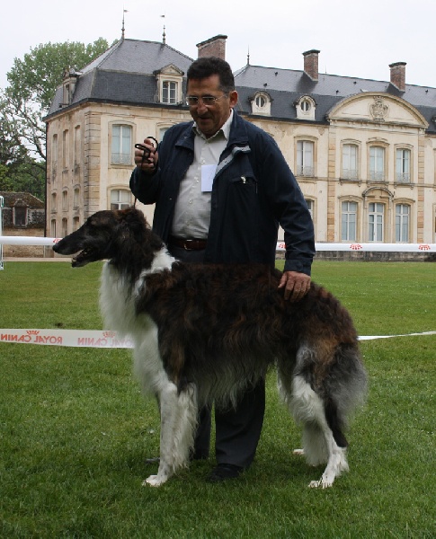 Czaroff vakonowitch du Domaine d'Iasnaïa-Poliana - CACP