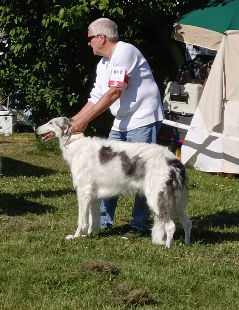 Paladynska du Domaine d'Iasnaïa-Poliana - 2e EXCELLENT