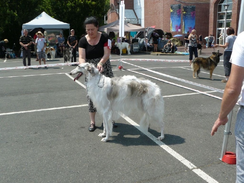 CH. L.s.p georgiy mraja - CACS BOB 3e BOG