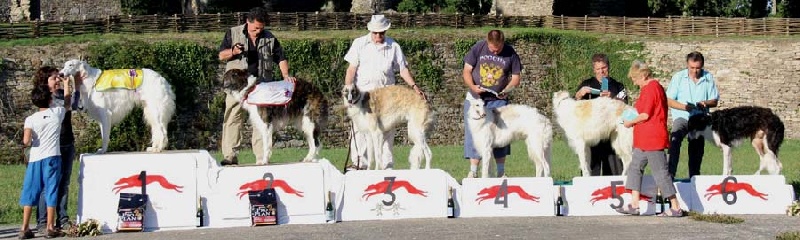 Czaroff vakonowitch du Domaine d'Iasnaïa-Poliana - 2eme Rcacp 28 pts