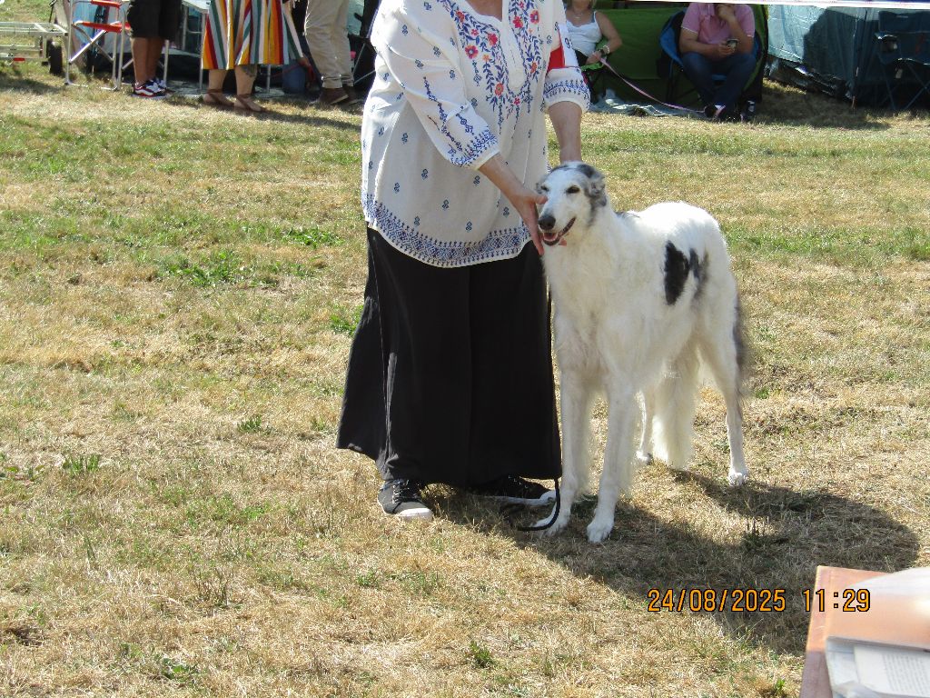 Paladynska du Domaine d'Iasnaïa-Poliana - 2e EXCELLENT classe ouverte