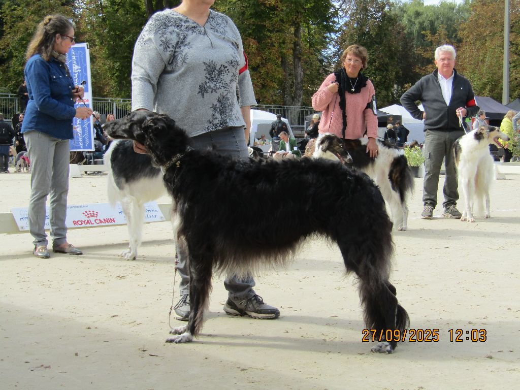Rosenrot du Domaine d'Iasnaïa-Poliana - Very good