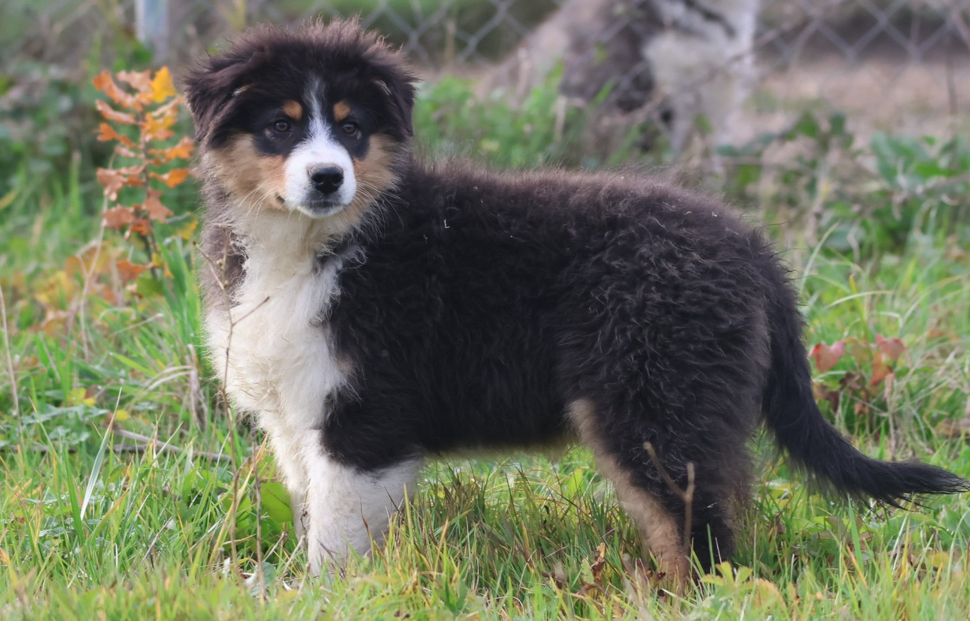 Amazing tentation love