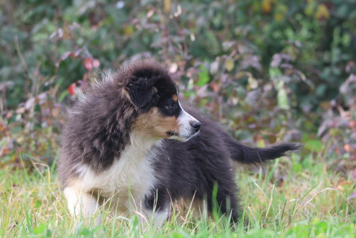 Amazing tentation love