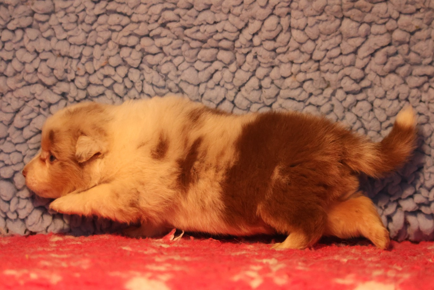 Best new years day meals