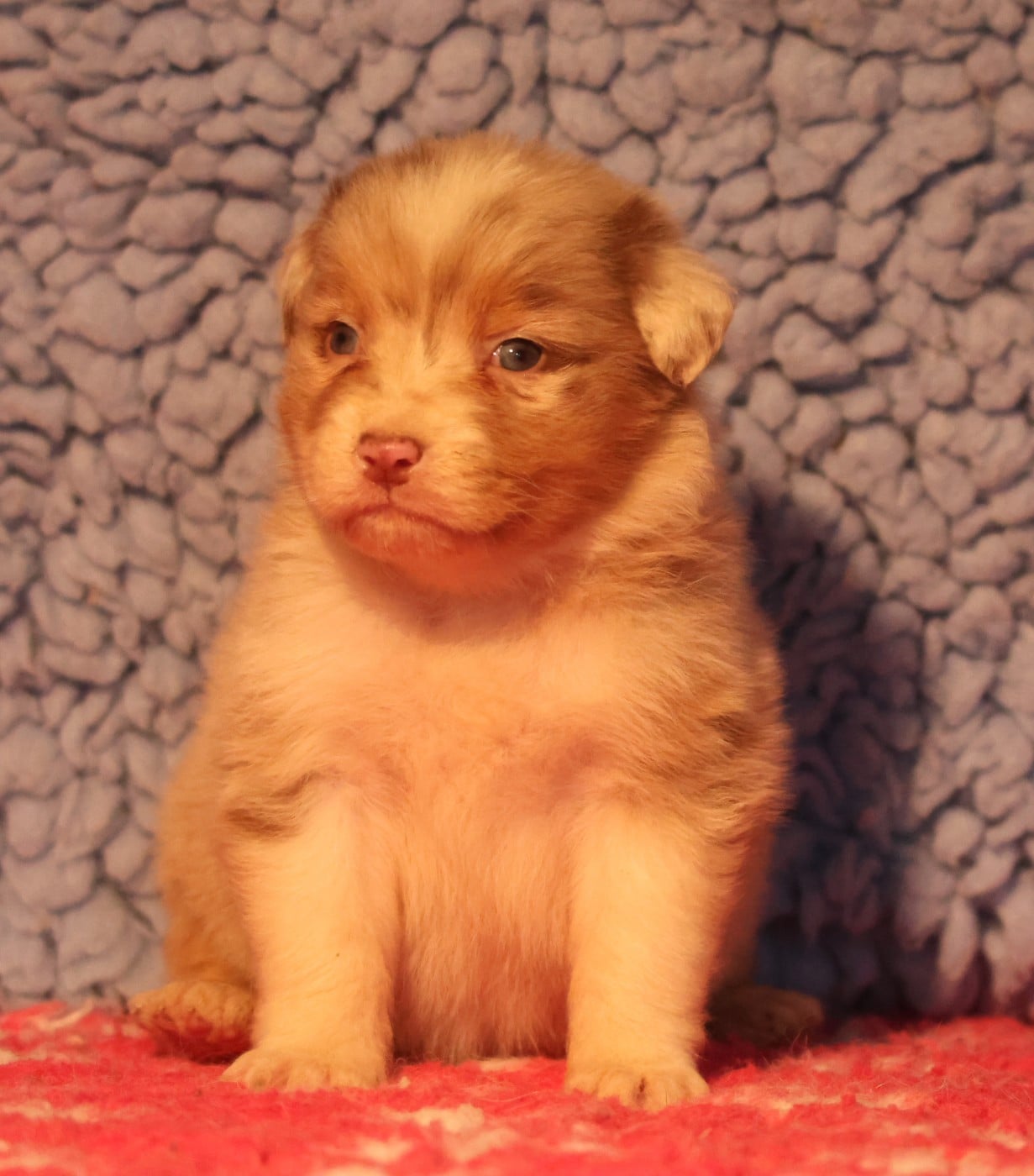 Best new years day music