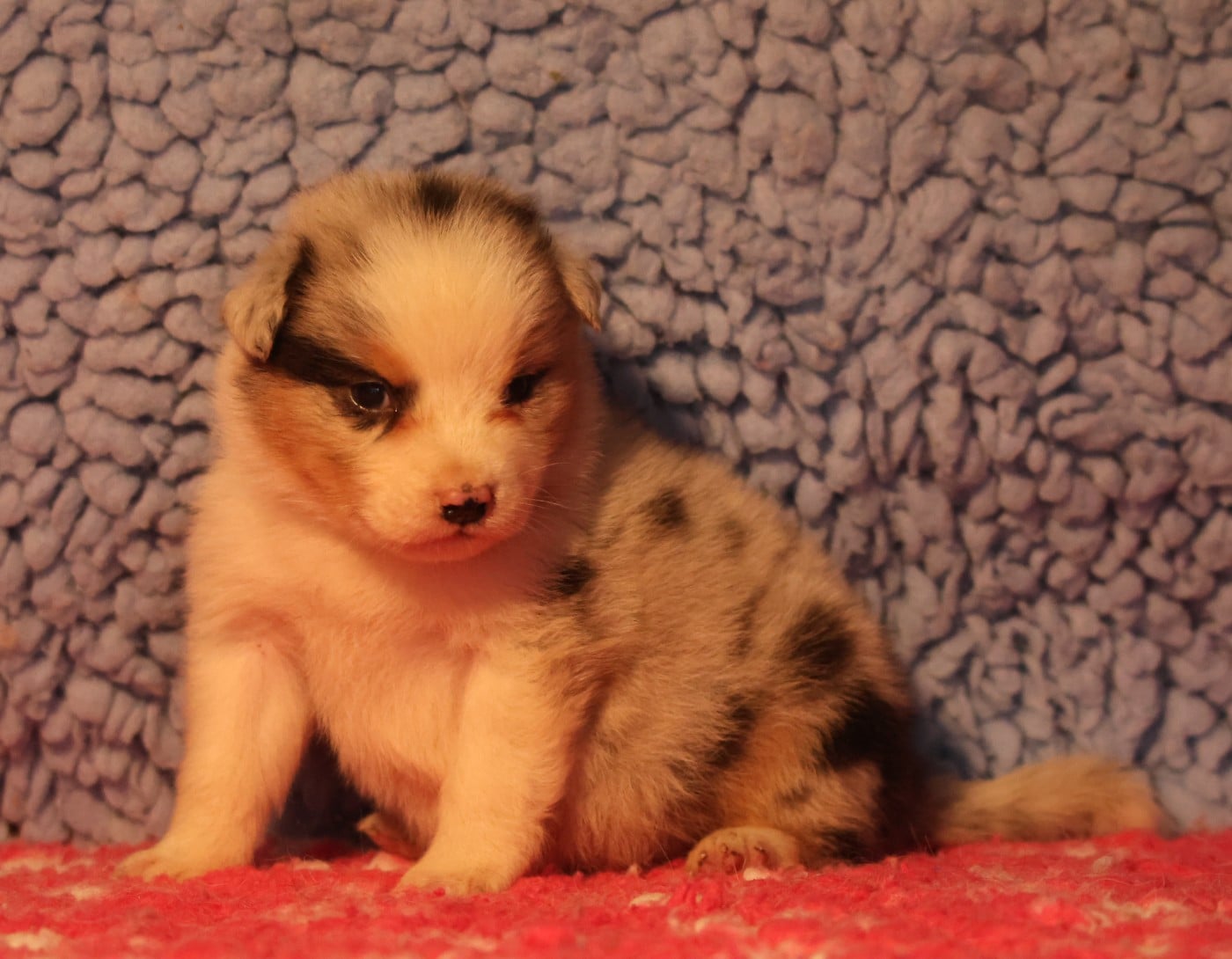 Best new years day outfits