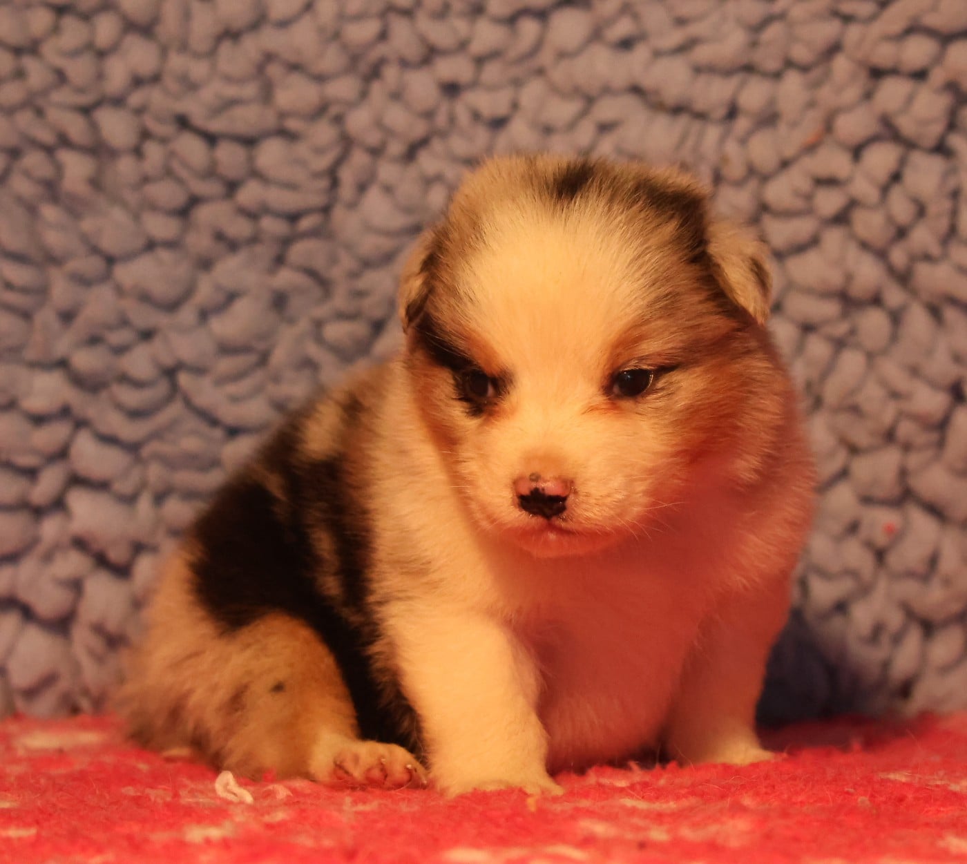 Best new years day outfits