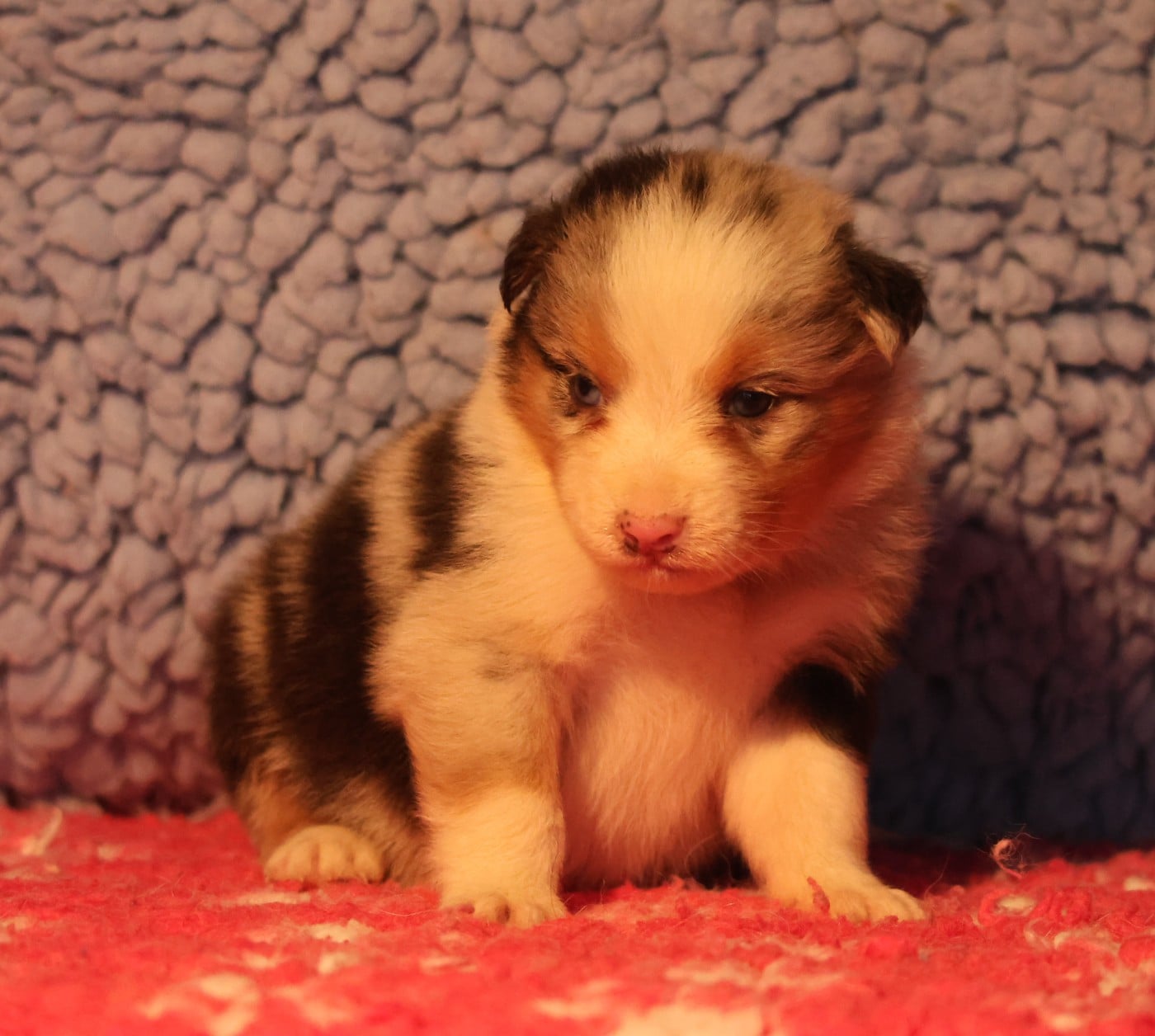 Best new years day eve parties