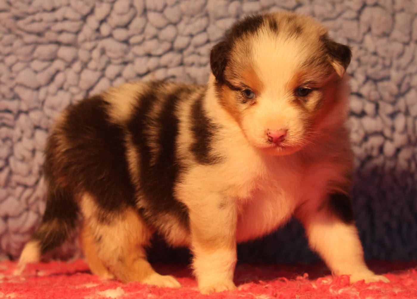 Best new years day eve parties