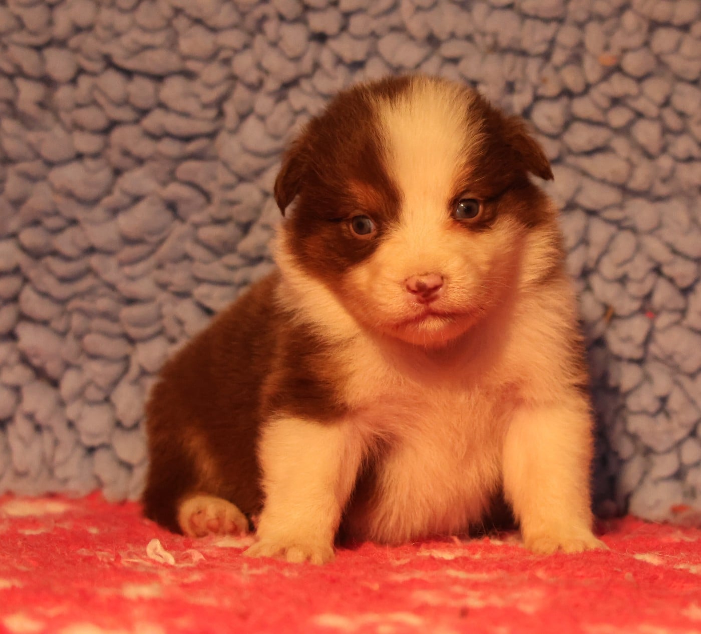 Best new years day dances