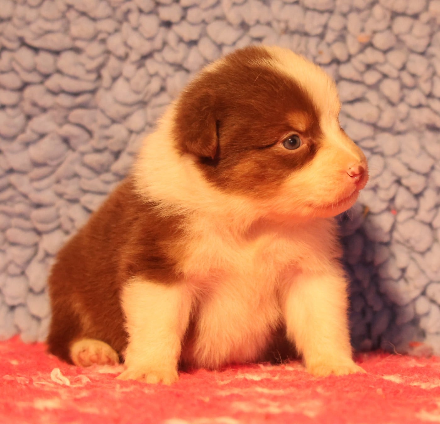 Best new years day dances