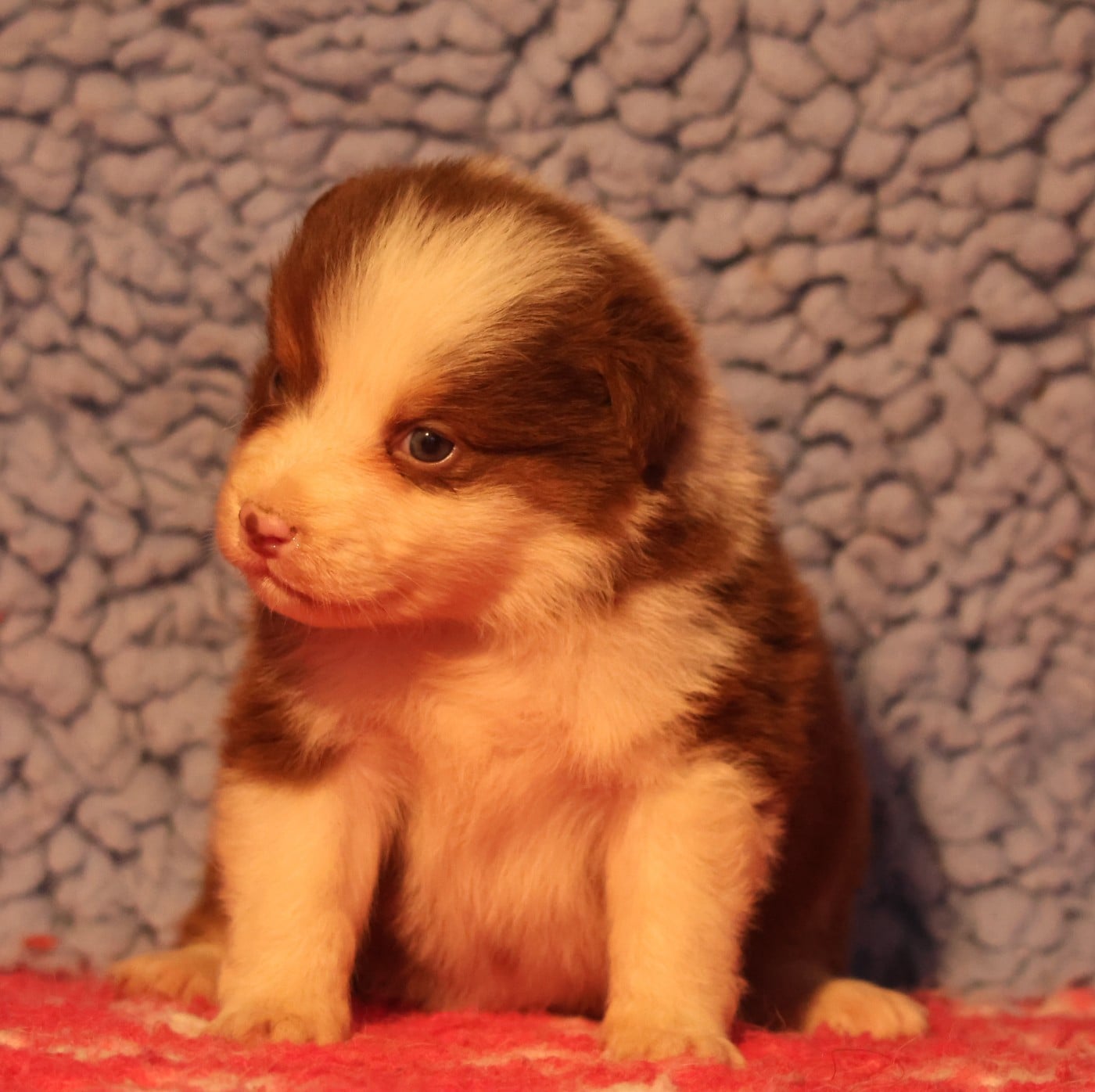 Best new years day dances