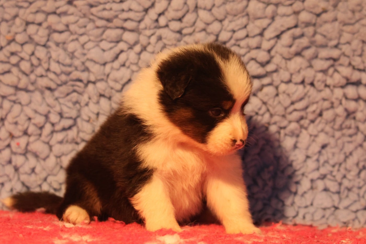 Best new years day wishes