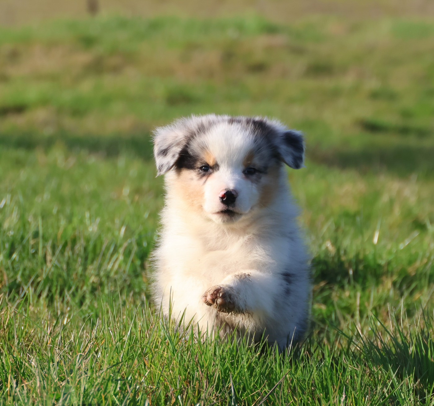 Best new years day outfits