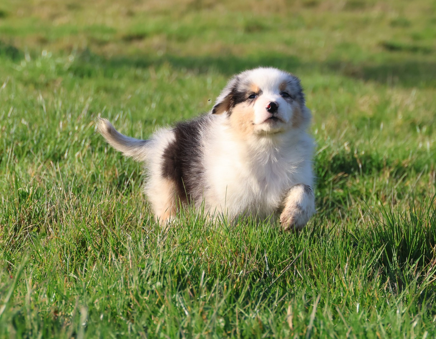 Best new years day outfits