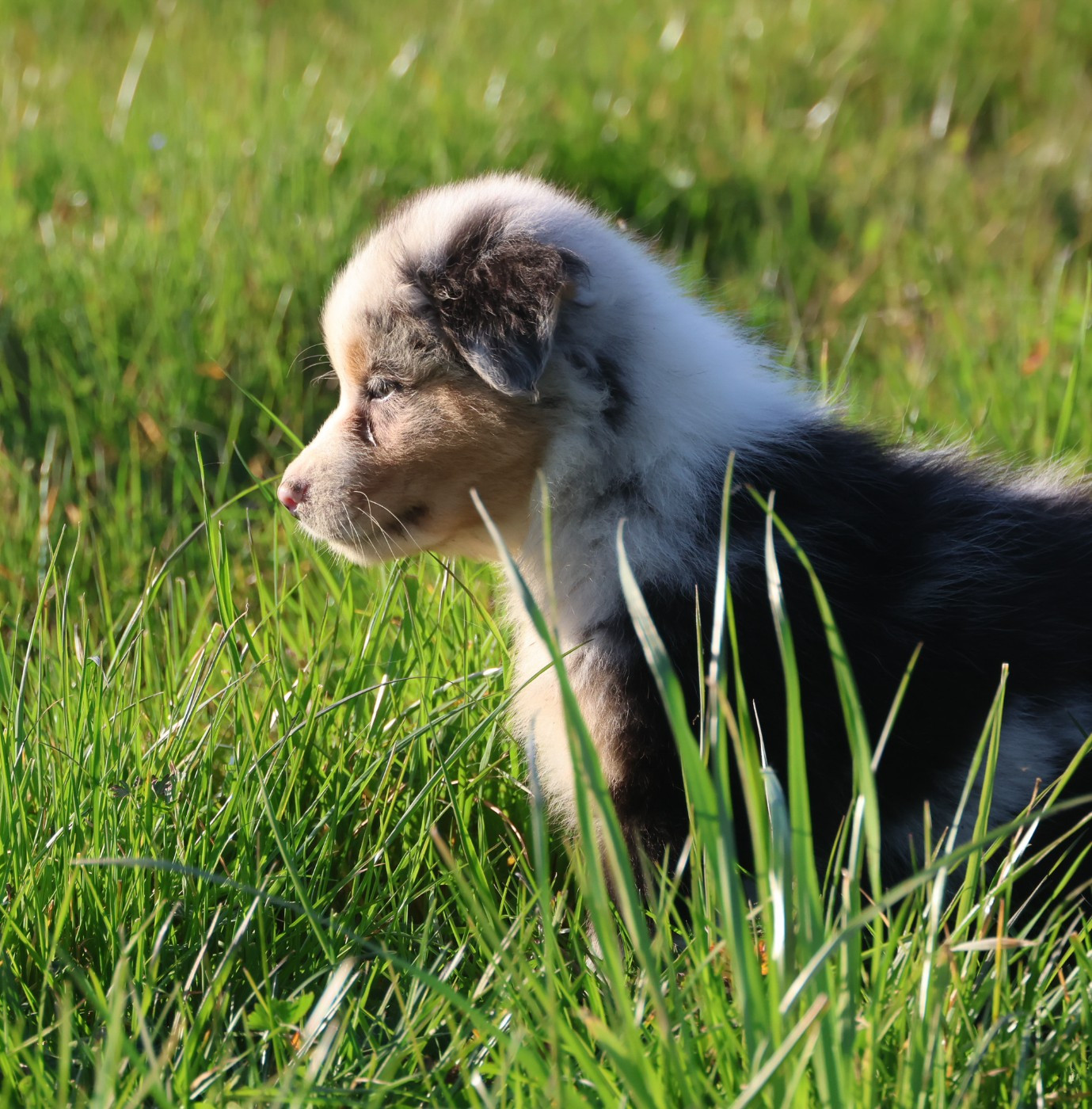 Best new years day eve parties