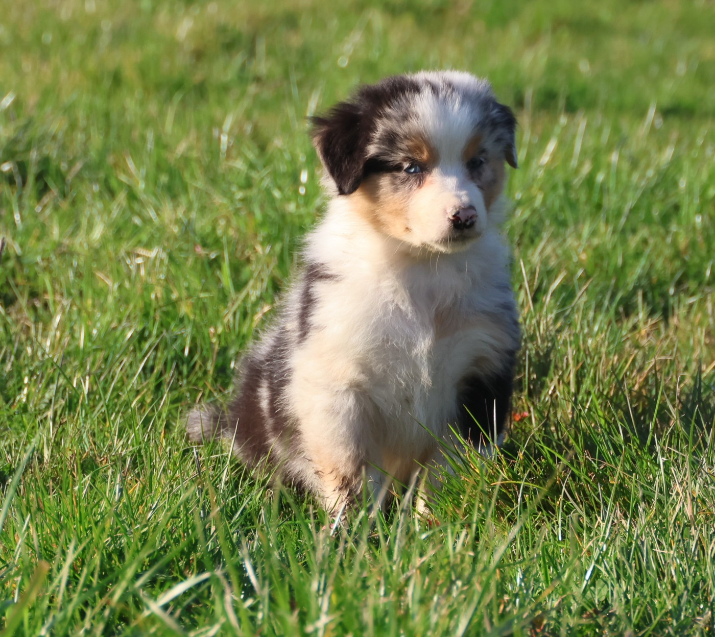 Best new years day eve parties