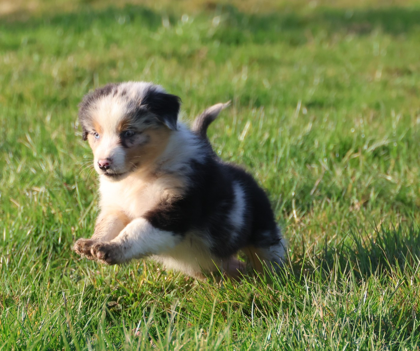 Best new years day eve parties