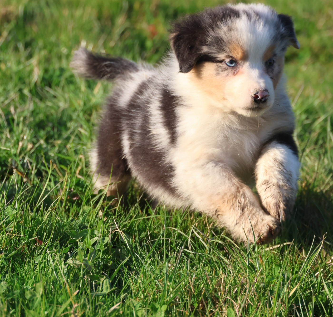 Best new years day eve parties