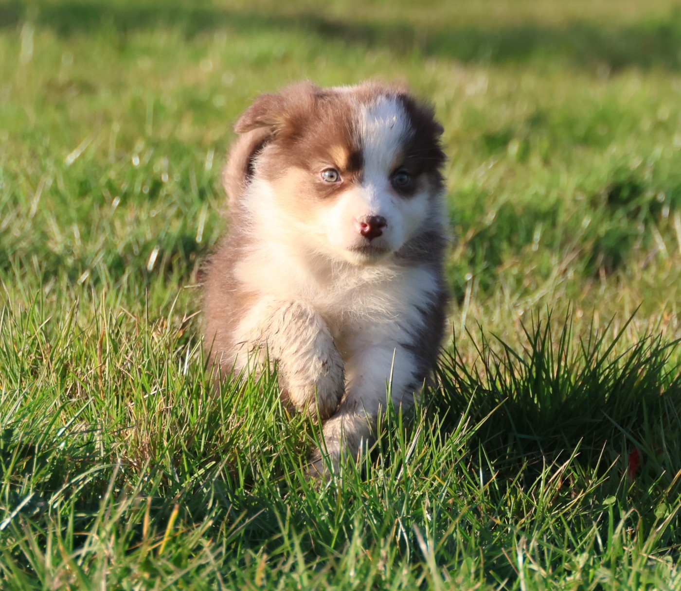 Best new years day dances